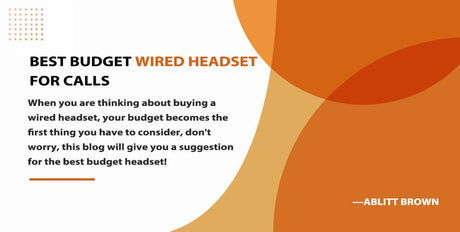 best budget wired headset for work