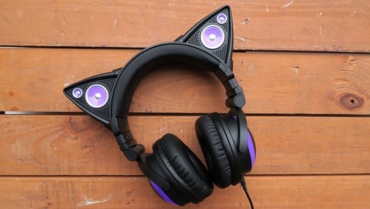 cat ear headphones