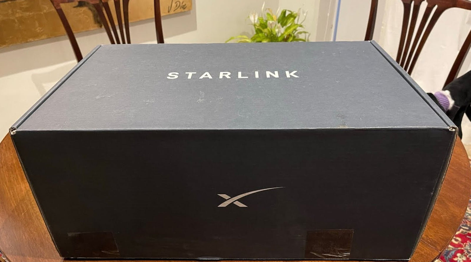 starlink mini mount